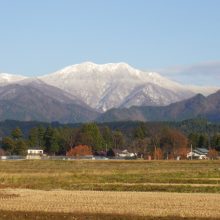 ファーム*ジャグロンズ「兎農園」秋田県美郷町は冬の入り口へ。