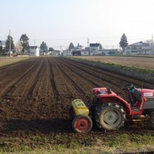 「やっちゃえジャグロンズ♂」難あり癖ありの美郷町セキダ圃場