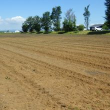 シリーズ「その土地に歴史あり」①美郷町野荒町、佐々木リンゴ農園跡地。