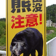 美郷町山麓地帯は熊の季節になりました