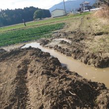 圃場破壊で回避！やばかったよ～